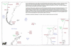 dum58 to chile_thumb.gif